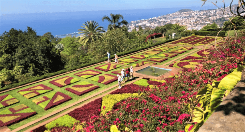 5 Jardins que tem de visitar no Funchal - Jardim Botanico 5 Jardins que tem de visitar no Funchal - Jardim Botanico